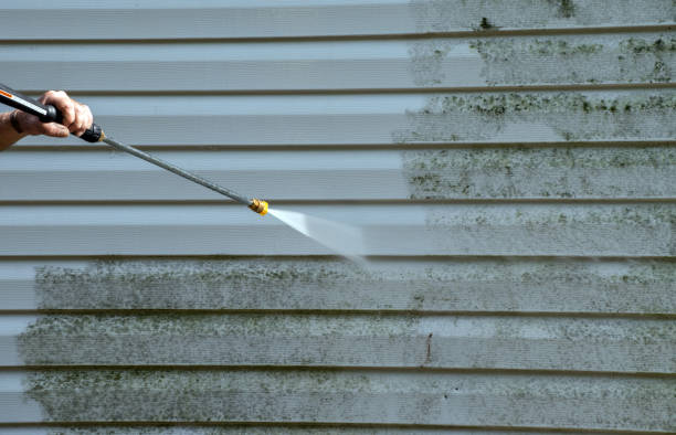 Mold Removal Process in Kearns, UT